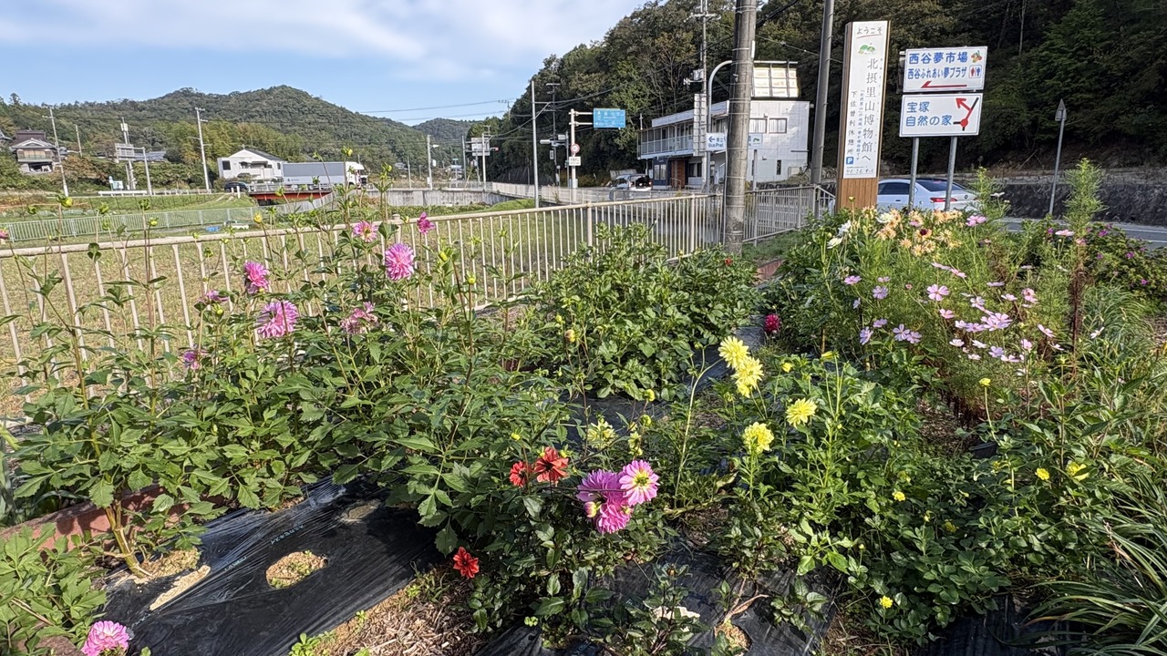 【ひょうご・アドプト】下佐曽利休憩所美化活動（下佐曽利休憩所　https://maps.app.goo.gl/gmoJa4ZeQ89Jw9m58）のイベントイメージ写真